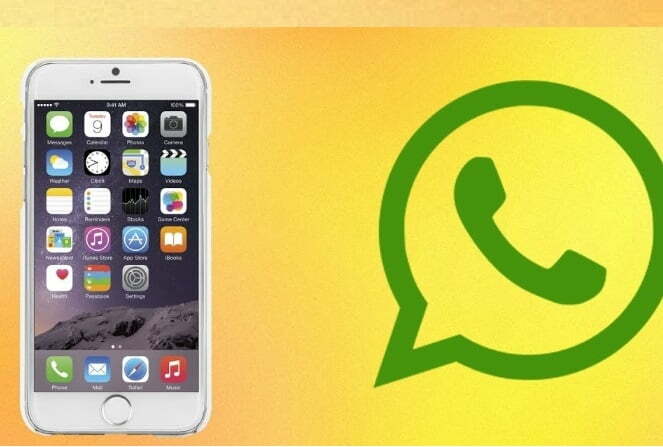 iPhone WhatsApp yeni özellikler ve parmak izi ile giriş