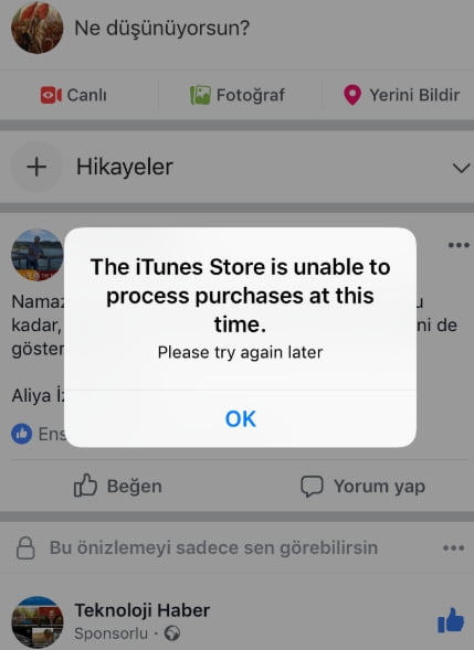 The iTunes store is unable to process purchases at this time ne demek