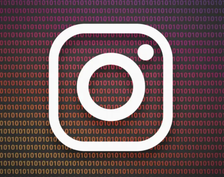 instagram uygulamada bilgilerini onayla ne demek